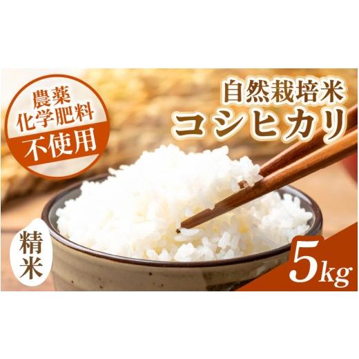 ふるさと納税 米 コシヒカリ 福井県 あわら市 先行予約 令和8年産 コシヒカリ 精米 5kg 化学肥料 農薬不使用 自然栽培米 / 北陸 福井県産 あわら市 ブランド…