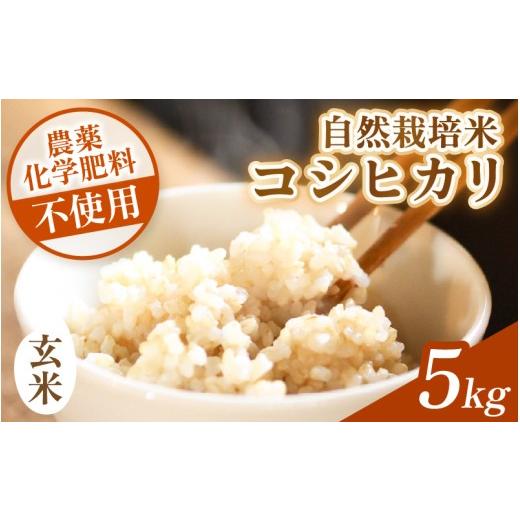 ふるさと納税 玄米 福井県 あわら市 先行予約 令和8年産 コシヒカリ 玄米 5kg 化学肥料 農薬不使用 自然栽培米 / 北陸 福井県産 あわら市 ブランド米 玄米 …