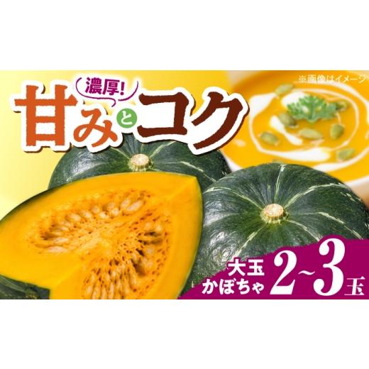ふるさと納税 人参・大根・他根菜 島根県 松江市 先行予約 2027年7月以降順次発送 島根県産 農家直送 大玉かぼちゃ 2〜3玉 島根県松江市/株式会社エムツー…