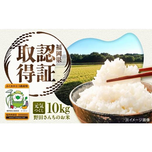 ふるさと納税 米 福岡県 広川町 野田さんちのお米 元気つくし 10kg 広川町 / 広川いちご園