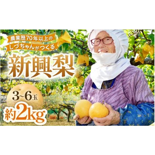 ふるさと納税 梨 福井県 あわら市 先行予約 しづちゃんが作る新興梨 約2kg(3〜6玉)農業歴70年以上 なし 果物 旬 フルーツ 甘い ジューシー 果汁 くだもの …