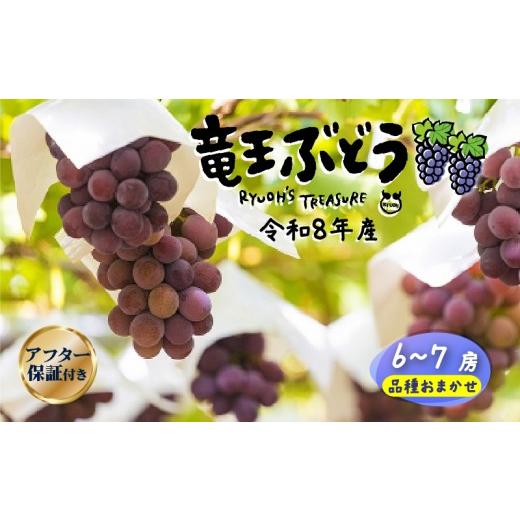 ふるさと納税 果物類 ぶどう 滋賀県 竜王町 期間限定 ぶどう 6〜7房 園主 おすすめ 詰め合わせ 葡萄 ブドウ マスカット 巨峰 シャインマスカット デラウェア …