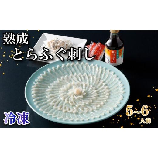 ふるさと納税 フグ 山口県 下関市 冷凍 熟成 とらふぐ刺し (5〜6人前)ふぐ 刺身 満喫 セット 菊盛 皮 安岡ねぎ ぽん酢 もみじおろし トラフグ 高級鮮魚 フグ…
