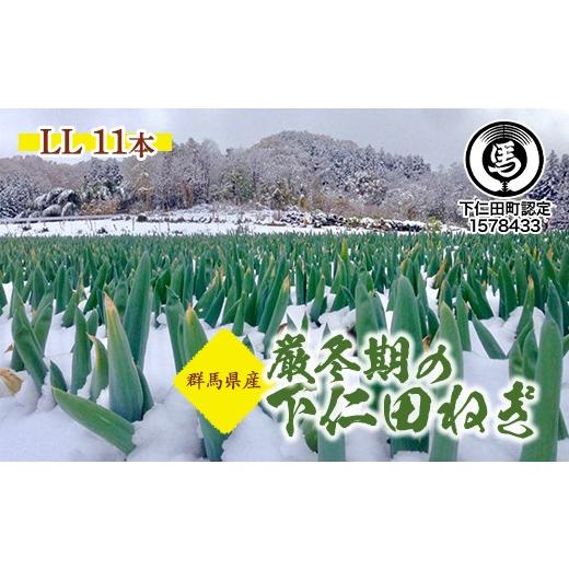 ふるさと納税 野菜類 ねぎ 群馬県 下仁田町 年末/年明けの下仁田ねぎ(葉っぱが枯れてからの下仁田ねぎ)(LL 11本) とろける 甘い ねぎ ネギ 王様ねぎ 特産…