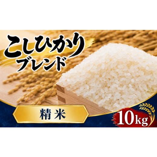 ふるさと納税 米 埼玉県 羽生市 精米 10kg こしひかりブレンド コシヒカリ 彩のきずな 令和7年産 5kg × 2袋 選べる 米 お米 白米 こめ ライス ごはん ご飯 コ…