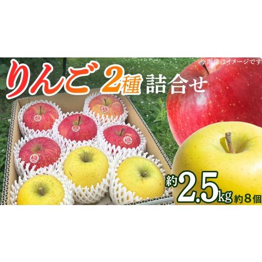 ふるさと納税 りんご 岩手県 紫波町 りんご 2種 詰め合わせ 約2.5kg りんご サンふじ シナノゴールド 林檎 リンゴ サンフジ フルーツ 果物 くだもの 食べ比べ …