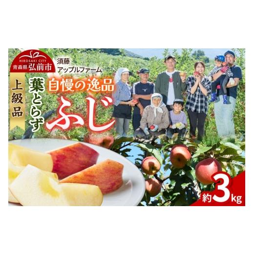 ふるさと納税 りんご 青森県 弘前市 26年11月下旬〜発送 りんご 葉とらず ふじ 上級品 約3kg 先行受付 青森県 弘前市 果物 フルーツ 林檎 リンゴ くだもの ギ…