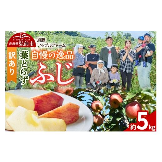 ふるさと納税 りんご 青森県 弘前市 26年11月下旬〜発送 りんご 葉とらず ふじ 訳あり 約5kg 先行受付 家庭用 青森県 弘前市 果物 フルーツ 林檎 リンゴ くだ…