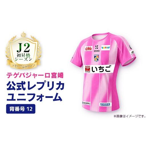 ふるさと納税 服 男 宮崎県 新富町 XLサイズ [公式]2027 テゲバジャーロ宮崎 レプリカユニフォーム 背番号12 サッカー Jリーグ J2 クラブチーム サッカー観…