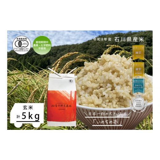 ふるさと納税 米 石川県 金沢市 [令和8年産 新米 先行予約] お米グランプリ3部門受賞 有機JAS認証米 日本一粒の大きいお米『いのちの壱』玄米5kg