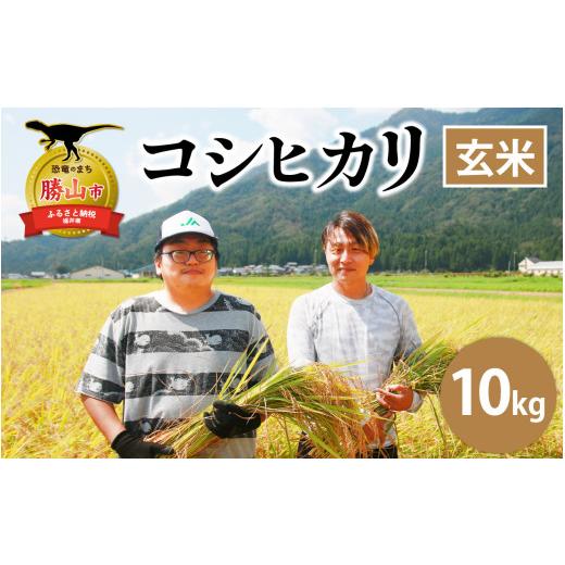 ふるさと納税 米 コシヒカリ 福井県 勝山市 先行予約 令和8年産 新米 勝山産 コシヒカリ 玄米 10kg(5kg×2袋) 2026年9月中旬頃より順次発送予定