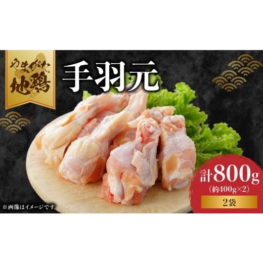 ふるさと納税 鶏肉 手羽 山形県 大江町 やまがた地鶏 「手羽元」 060-020