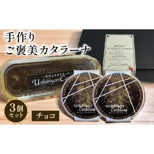 ふるさと納税 菓子 プリン 福井県 敦賀市 牛びより カタラーナ(チョコ) セット 063-a004