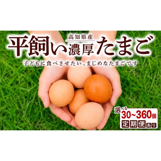 ふるさと納税 卵(鶏、烏骨鶏等) 高知県 宿毛市 土佐ジロー10個×3P (3回) うらにわ自然たまご園 10個入り×3パック(3回)46,000円