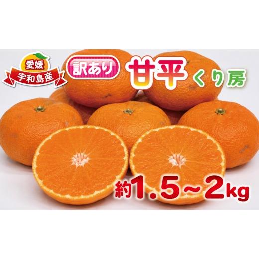 ふるさと納税 果物類 みかん 愛媛県 宇和島市 訳あり 甘平 約 1.5〜2kg くり房 かんぺい 訳アリ 高級柑橘 愛媛みかん 愛媛蜜柑 蜜柑 みかん mikan シャキシャ…