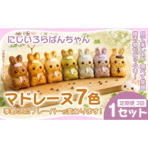 ふるさと納税 焼菓子・チョコレート マドレーヌ 奈良県 奈良市 マドレーヌ 7個入 1セット×3ヶ月定期便 焼き菓子 お菓子 菓子 まどれーぬ 洋菓子 スイーツ グ…