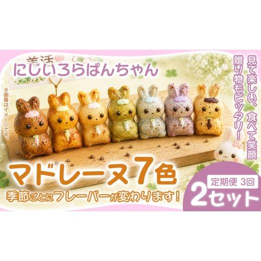 ふるさと納税 焼菓子・チョコレート マドレーヌ 奈良県 奈良市 マドレーヌ 7個入 2セット×3ヶ月定期便 焼き菓子 お菓子 菓子 まどれーぬ 洋菓子 スイーツ グ…