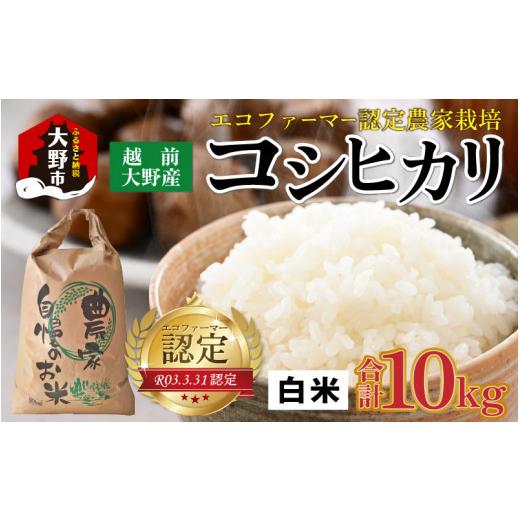 ふるさと納税 米 コシヒカリ 福井県 大野市 先行予約 令和8年産 新米 有機栽培 越前大野産 エコファーマー認定農家栽培 コシヒカリ10kg(白米) 2026年10月よ…