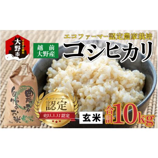 ふるさと納税 米 コシヒカリ 福井県 大野市 先行予約 令和8年産 新米 有機栽培 越前大野産 エコファーマー認定農家栽培 コシヒカリ10kg(玄米) 2026年10月よ…