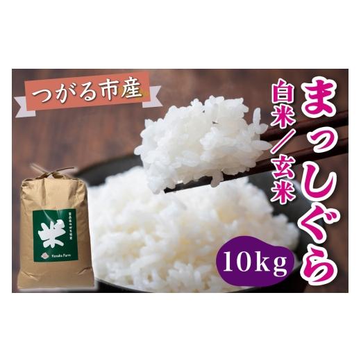 ふるさと納税 米 青森県 つがる市 令和8年産 つがる市産 まっしぐら 白米/玄米 10kg|2026年産 まっしぐら 白米 お米 米 コメ 精米 農家 青森 新米 1080