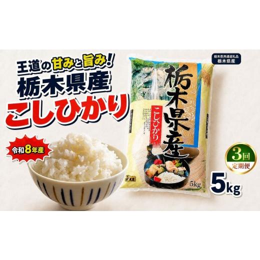 ふるさと納税 米 コシヒカリ 栃木県 矢板市 令和8年産 新米 定期便3回 栃木県産 お米 白米 こしひかり 5kg | 栃木県 矢板市 栃木県共通返礼品 栃木県産 定期…