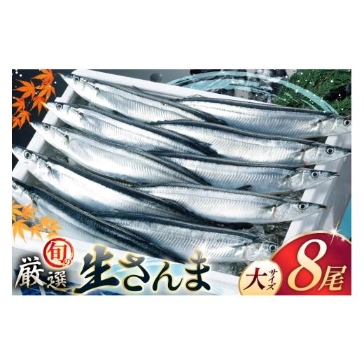 ふるさと納税 魚貝類 さんま 宮城県 気仙沼市 期間限定発送 生 さんま 8尾 大サイズ 阿部長商店 宮城県 気仙沼市 20566343 魚 サンマ 秋刀魚 生鮮 鮮魚 季節…