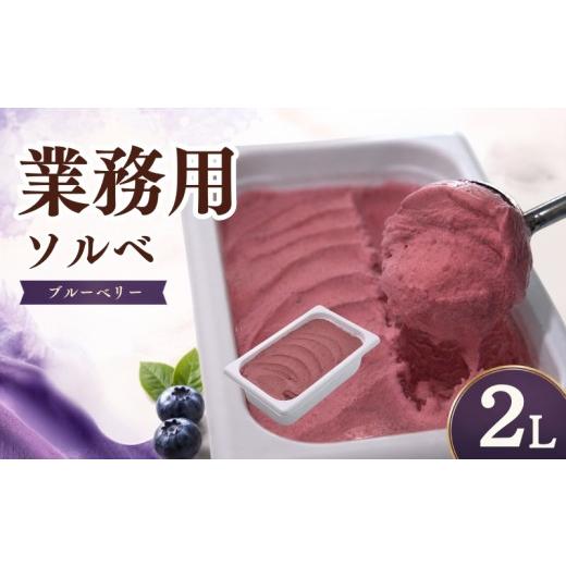 ふるさと納税 アイス・ヨーグルト ジェラート 岩手県 盛岡市 家族やみんなで楽しめる たっぷり2L ブルーベリー ソルベ 乳 不使用 スイーツ お菓子 洋菓子 デザ…