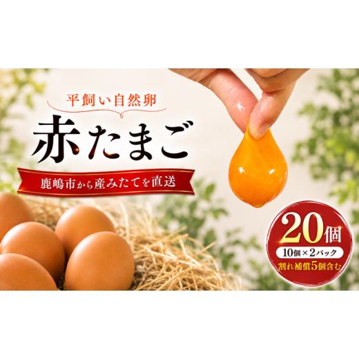 ふるさと納税 卵(鶏、烏骨鶏等) 茨城県 鹿嶋市 卵 10個 2パック 計20個 平飼い 自然卵 鶏卵 生卵 新鮮 割れ補償付き 産地直送 赤卵 濃厚 朝ごはん 朝食 ごは…