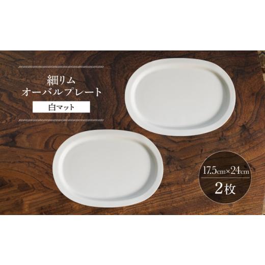 ふるさと納税 食器・グラス セット 長崎県 波佐見町 波佐見焼 細リムオーバルプレート 白マット 2枚セット イロドリ