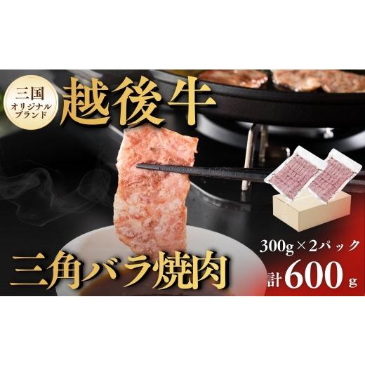 ふるさと納税 牛肉 ロース 新潟県 小千谷市 三角バラ焼肉 新潟 越後牛 三角バラ焼肉 600g (300g×2パック) 三国 | 冷凍 ブランド牛 焼肉 越後牛 国産牛 新潟県…