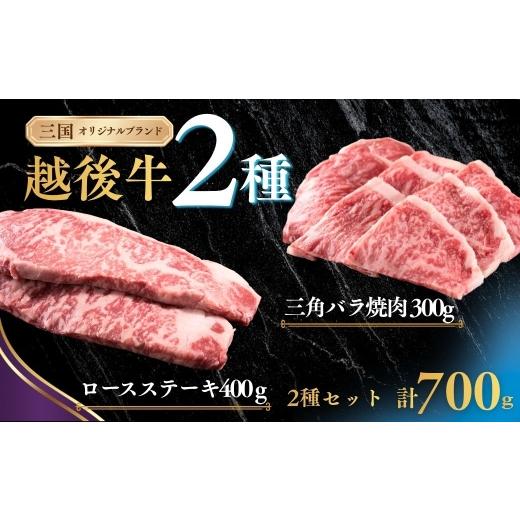 ふるさと納税 牛肉 ロース 新潟県 小千谷市 新潟 越後牛 2種 ロースステーキ 400g 三角バラ焼肉 300g 計700g 三国 | 冷凍 ブランド牛 焼肉 越後牛 国産牛 新潟…