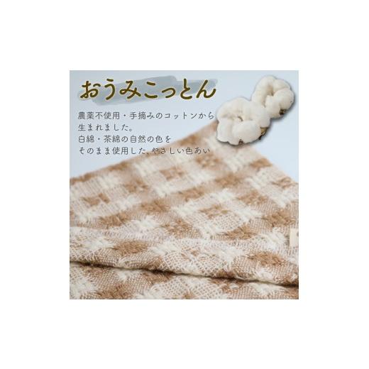 ふるさと納税 小物 ストール・マフラー 滋賀県 彦根市 綿ストール チェック 大 55cm×150cm メンズ レディース ストール 綿 柄 模様 首巻き 無農薬 有機肥料 …の画像