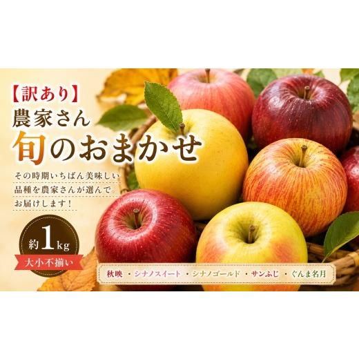 ふるさと納税 りんご 長野県 塩尻市 2026年先行予約 訳あり 農家さん旬のおまかせ 約1kg 10月上旬〜12月中旬頃にかけて順次発送予定 | 果物 くだもの フルー…