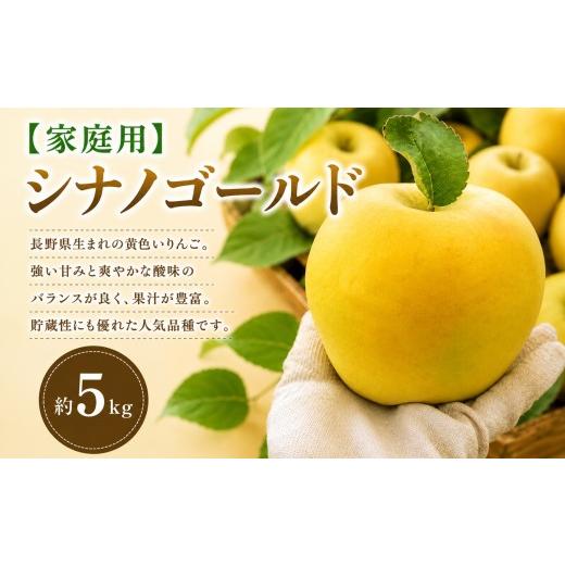 ふるさと納税 りんご 長野県 塩尻市 2026年先行予約 家庭用 シナノゴールド 約5kg 10月下旬〜11月下旬頃にかけて順次発送予定 | 果物 くだもの フルーツ 林檎…