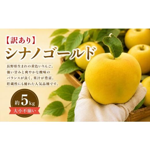 ふるさと納税 りんご 長野県 塩尻市 2026年先行予約 訳あり シナノゴールド 約5kg 10月下旬〜11月下旬頃にかけて順次発送予定 | 果物 くだもの シナノゴール…