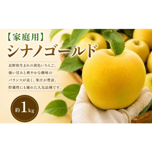 ふるさと納税 りんご 長野県 塩尻市 2026年先行予約 家庭用 シナノゴールド 約1kg 10月下旬〜11月下旬頃にかけて順次発送予定 | 果物 くだもの シナノゴール…