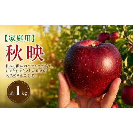 ふるさと納税 りんご 長野県 塩尻市 2026年先行予約 家庭用 秋映 約1kg 9月下旬〜10月中旬頃にかけて順次発送予定 | 果物 くだもの フルーツ 林檎 りんご リ…