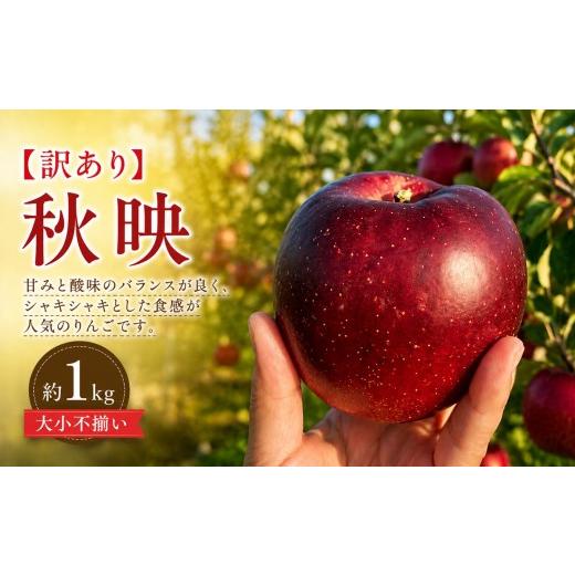 ふるさと納税 りんご 長野県 塩尻市 2026年先行予約 訳あり 秋映 約1kg 9月下旬〜10月中旬頃にかけて順次発送予定 | 果物 くだもの フルーツ 林檎 りんご リ…