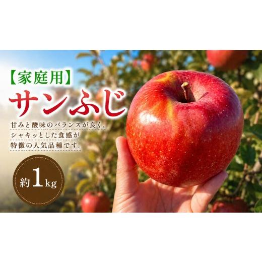 ふるさと納税 りんご 長野県 塩尻市 2026年先行予約 家庭用 サンふじ 約1kg 11月下旬〜12月中旬頃にかけて順次発送予定 | 果物 くだもの フルーツ 林檎 りん…