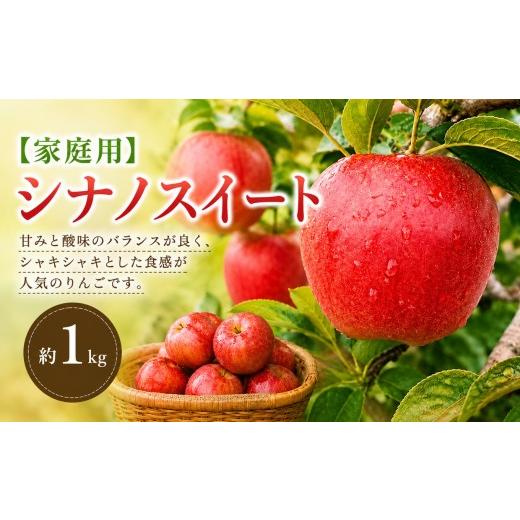 ふるさと納税 りんご 長野県 塩尻市 2026年先行予約 家庭用 シナノスイート 約1kg 10月初旬〜10月下旬頃にかけて順次発送予定 | 果物 くだもの フルーツ 林檎…