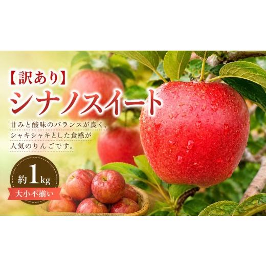 ふるさと納税 りんご 長野県 塩尻市 2026年先行予約 訳あり シナノスイート 約1kg 10月初旬〜10月下旬頃にかけて順次発送予定 | 果物 くだもの フルーツ 林檎…