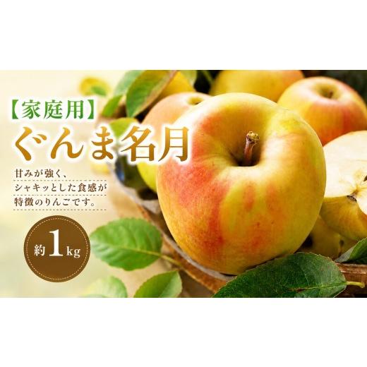 ふるさと納税 りんご 長野県 塩尻市 2026年先行予約 家庭用 ぐんま名月 約1kg 10月下旬〜11月中旬頃にかけて順次発送予定 | 果物 くだもの フルーツ 林檎 り…