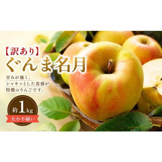 ふるさと納税 りんご 長野県 塩尻市 2026年先行予約 訳あり ぐんま名月 約1kg 10月下旬〜11月中旬頃にかけて順次発送予定 | 果物 くだもの フルーツ 林檎 り…