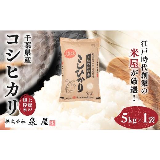 ふるさと納税 米 コシヒカリ 千葉県 木更津市 令和7年度産 上総の純粋米 「コシヒカリ」 5kg 厳選 千葉県産/ ふるさと納税 コシヒカリ こしひかり お米 …