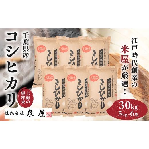 ふるさと納税 米 コシヒカリ 千葉県 木更津市 令和7年度産 上総の純粋米 「コシヒカリ」 30kg (5kg×6) 厳選 千葉県産 / ふるさと納税 コシヒカリ こし…