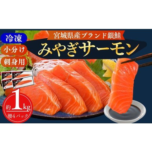 ふるさと納税 魚貝類 サーモン 宮城県 東松島市 宮城県漁協直送 小分け 冷凍 生食 みやぎサーモン(小骨処理済)刺身用柵 約1kg(4パック)半身 サーモン 鮭 …