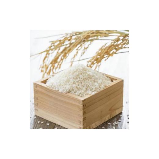 ふるさと納税 米 長野県 朝日村 お米 ゆうだい21(精米) 3kg 1767246