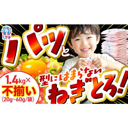 ふるさと納税 マグロ 福島県 いわき市 ネギトロ 不揃い 使い切り パック詰め合わせ 1.4kg まぐろ 鮪 ネギトロ ねぎとろ まぐろたたき まぐろのたたき マグロた…
