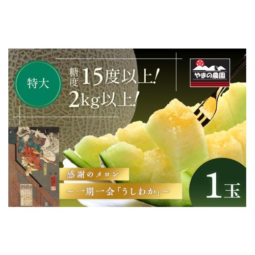 ふるさと納税 メロン 和歌山県 御坊市 やまの農園 感謝のメロン〜一期一会「うしわか」〜1玉 先行予約 2027年7月中旬より順次発送予定