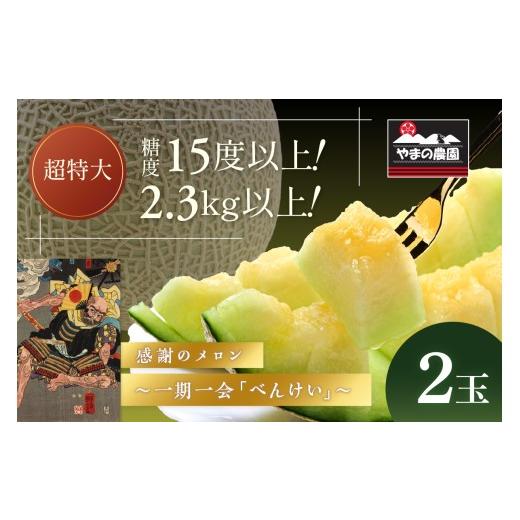 ふるさと納税 メロン メロン青肉 和歌山県 御坊市 やまの農園 感謝のメロン〜一期一会「べんけい」〜2玉 先行予約 2027年7月中旬より順次発送予定
